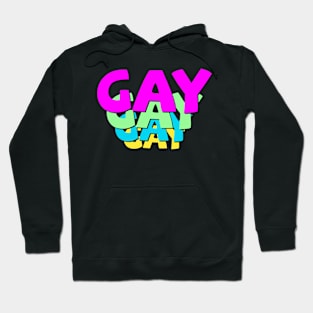 GAY GAY GAY Hoodie